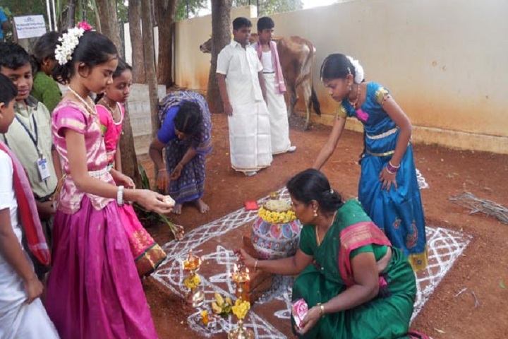 Vedavalli Vidyalaya Senior Secondary School-Pongal Celebrations
