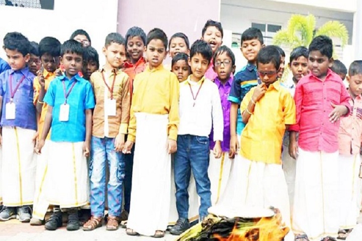 Vedic Vidyashram School-Festival Celebrations