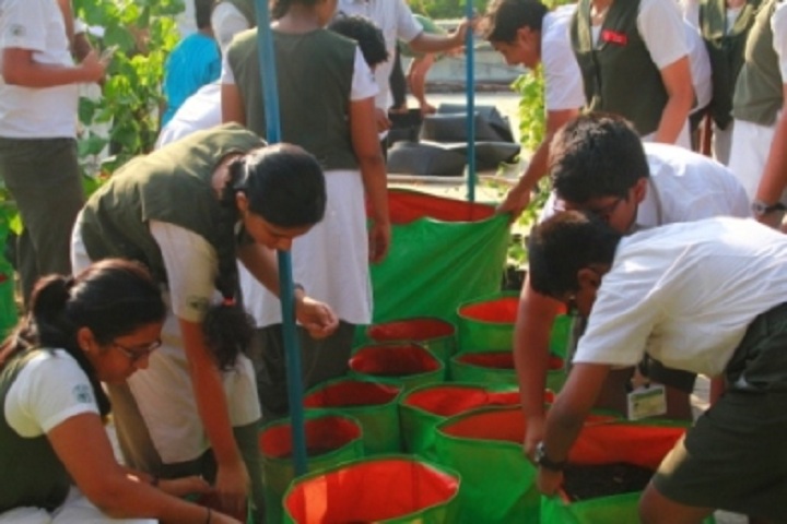 Vidya Mandir School-Terrace Garden