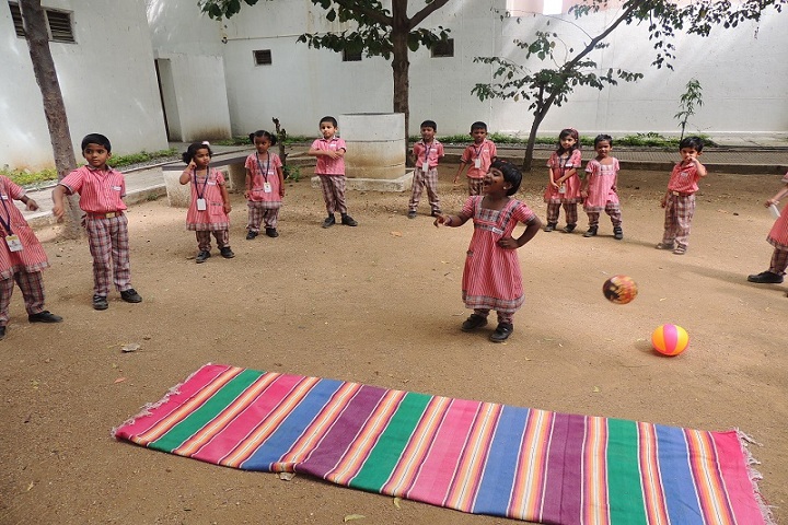 Wisdom Park International School-Activity