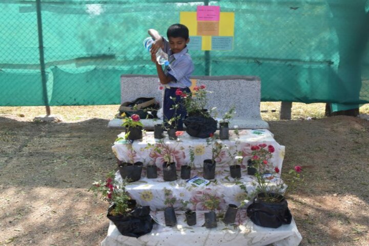 Creekside School-Environment day