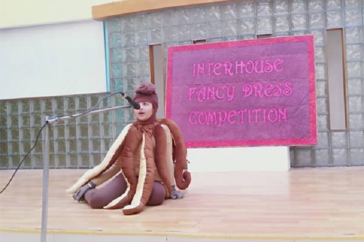 D R S International School-Fancy Dress Competition