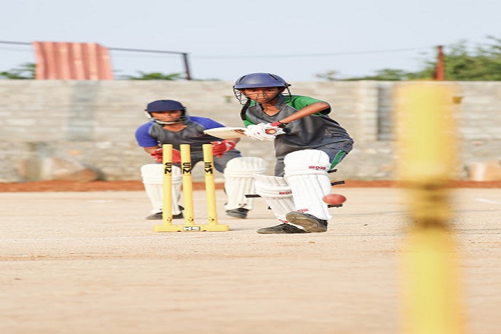 Ganges Valley School-Sports