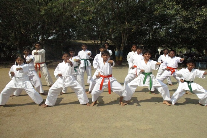 Harvest Public School-Karate