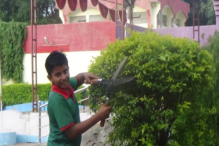 Jawahar Navodaya Vidyalaya-Green Crops