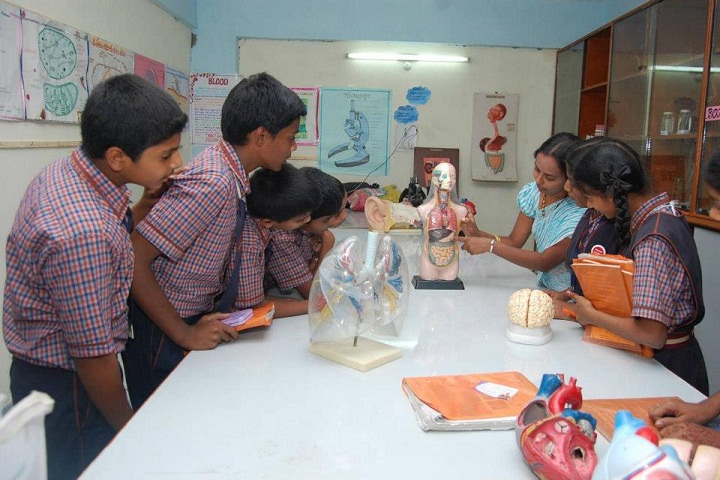 MNR School Of Excellence-Biology Lab