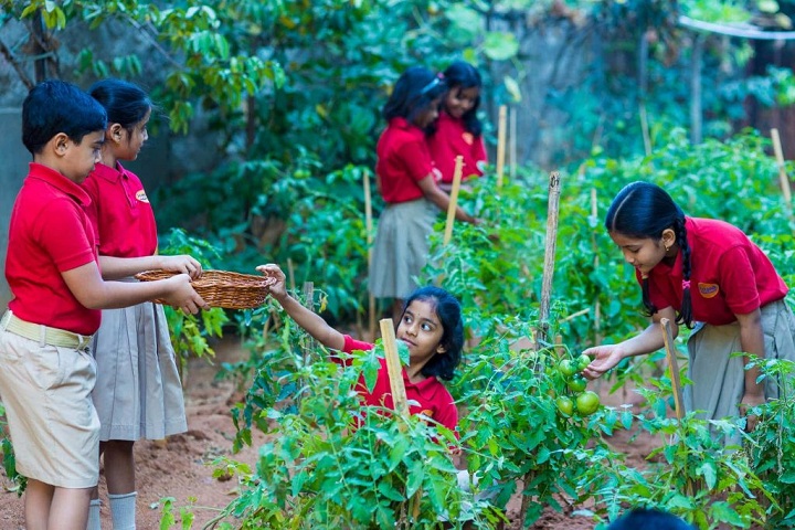 Prerana Waldorf School-Tree Plantation