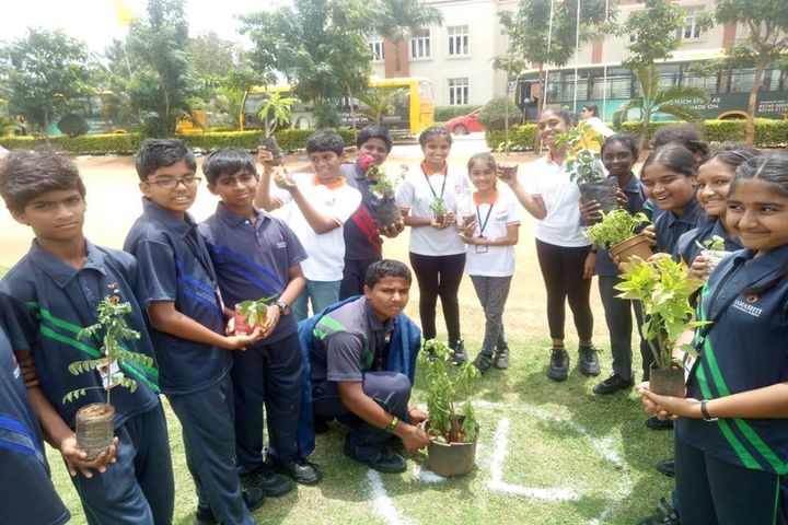 Samashti International School-Tree Plantation