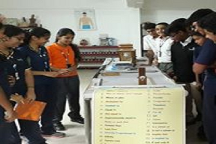 Sentia The Global School-Science Exhibition