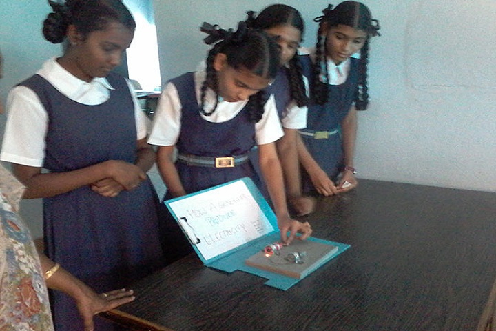 Shivaji Vidya Peeth High School-Science Activity
