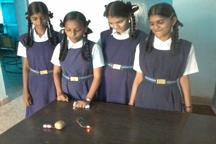Shivaji Vidya Peeth High School-Experiment