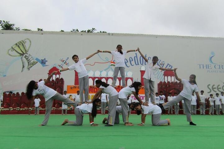 The Creek Planet School-Activity