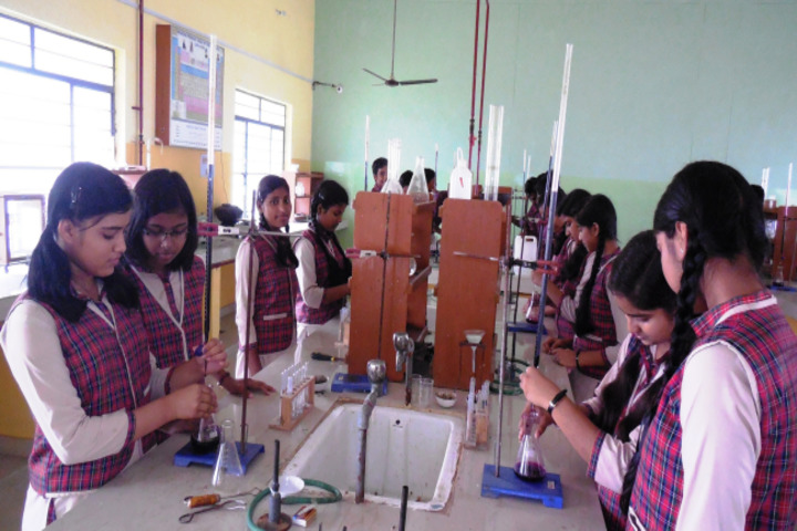 S R Dav Public School-Chemistry Lab