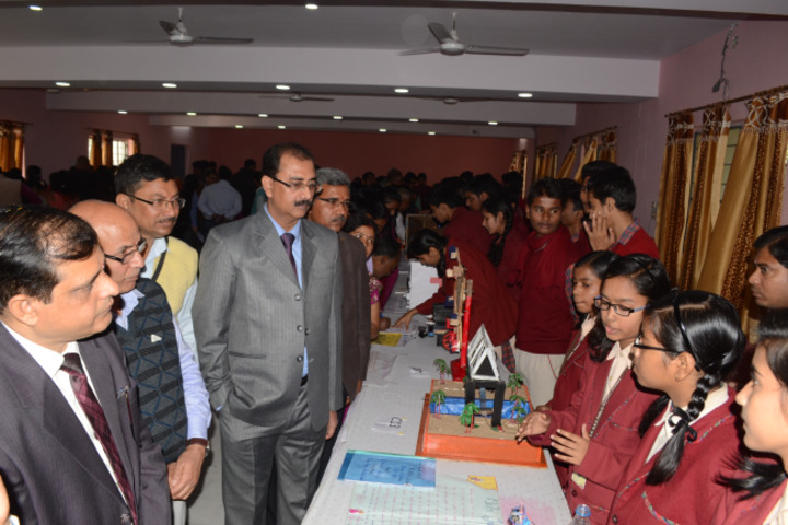 S R Dav Public School-Science Exhibition