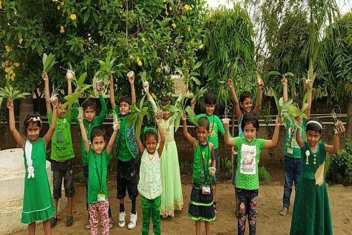 S T Raza International School-Green Day