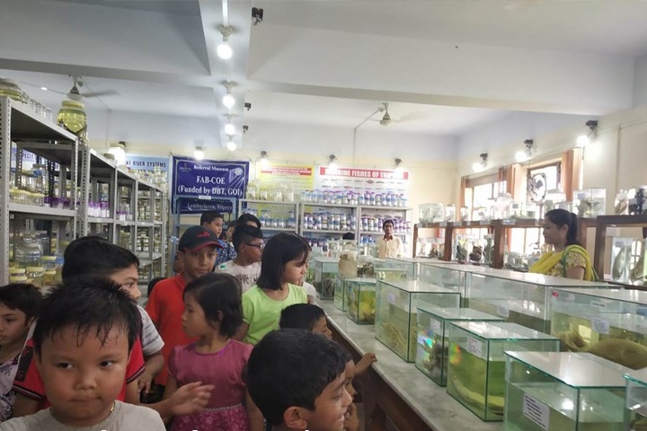 The Agartala International School-Summer Camp