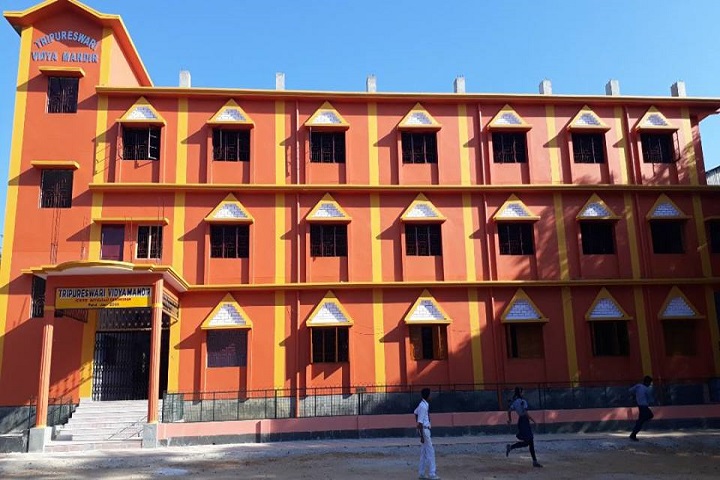 Tripureswari Vidya Mandir-Campus