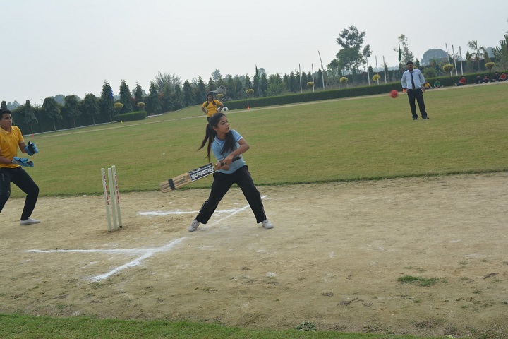 A M World School-PlayGround