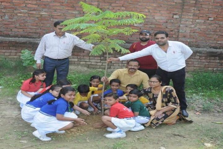 A P Public School-Tree Plantaion
