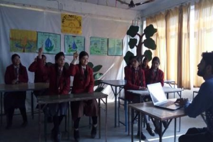 Abalone Public School-Quiz