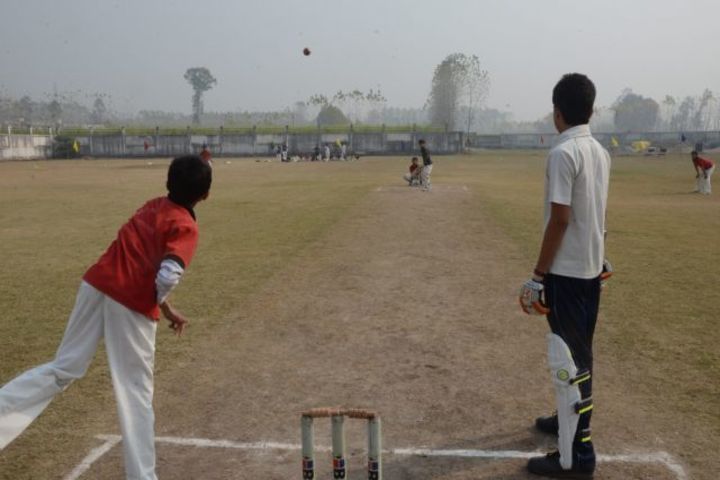 Acme Global School-Sports