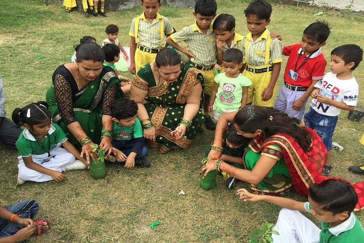 ACN International School-Tree Plantation