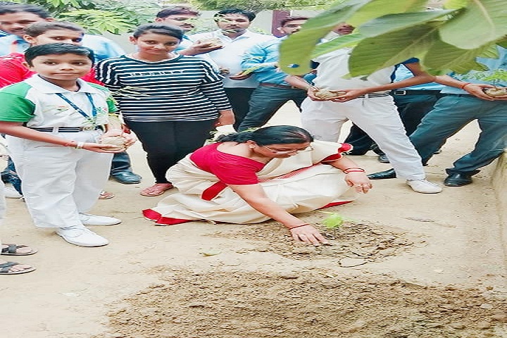 Adarsh Vidya Mandir -Plantation