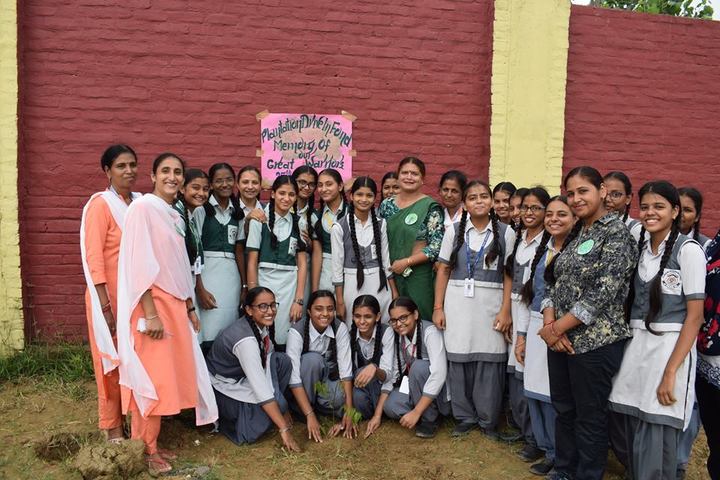 Ajmani International School - Tree Plantation