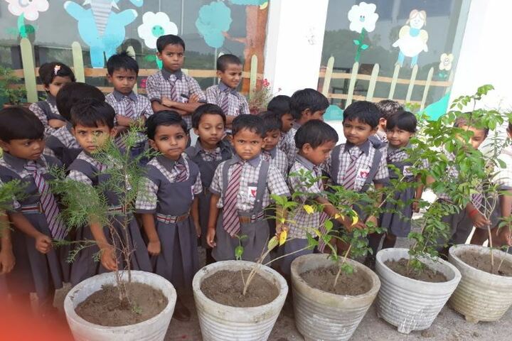 Akshar Jyothi Public School - Tree Pantations