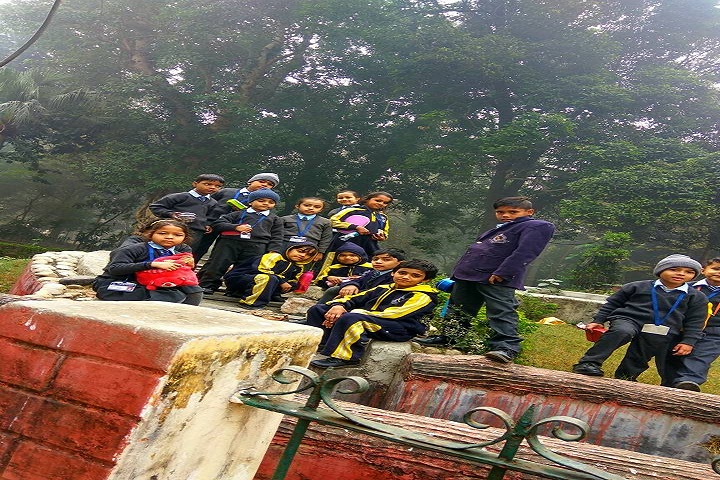 Alexander Public School - Tour