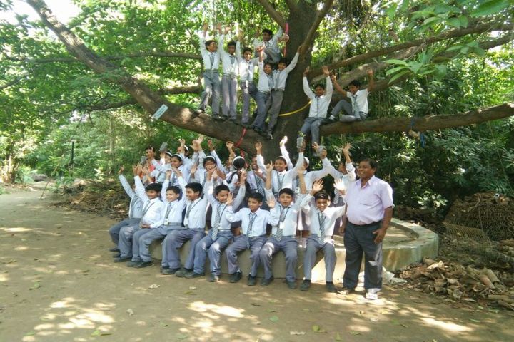 S R Vidyapeeth-Activity
