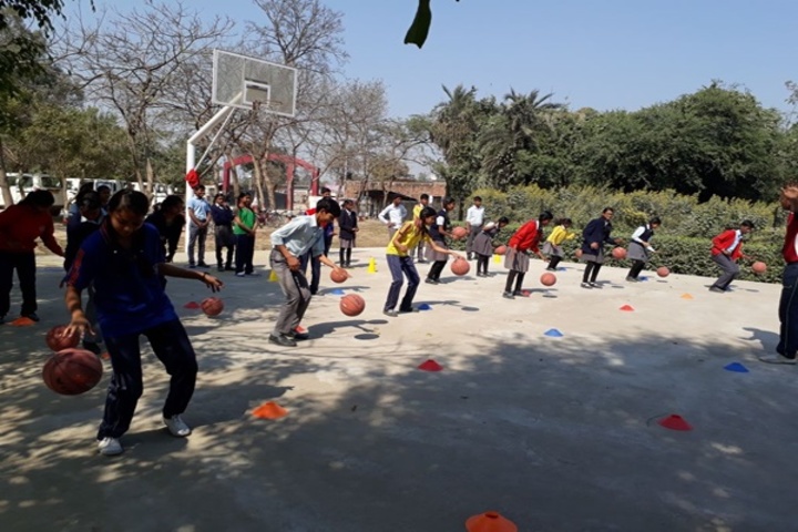 Alpha Public College - Volley Ball