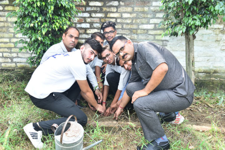 Alphine International School - Tree Plantation