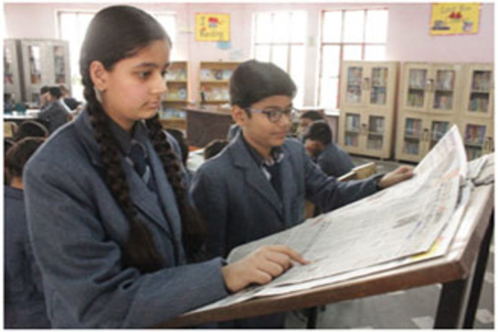 Alpine Public School-Library