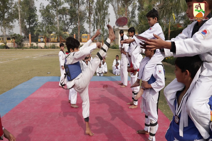 Alphine Vidyapeeth - Martial Arts