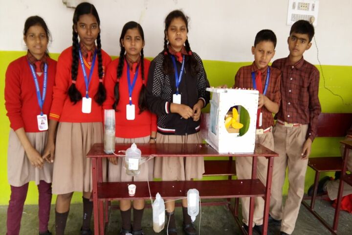 Ambition Convent School- Science Exhibhitions