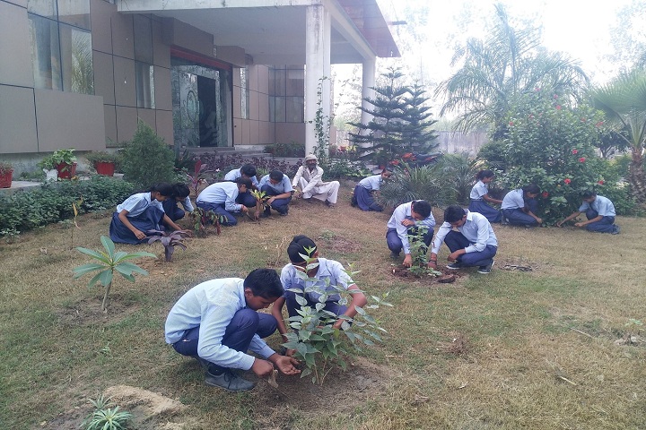 Ambition International School-Tree Plantation