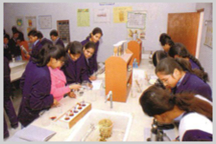 Amrit Public School-Chemistry Lab