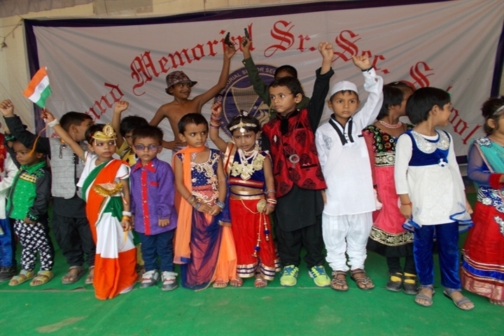 Anand Memorial Academy - Fancy Dress