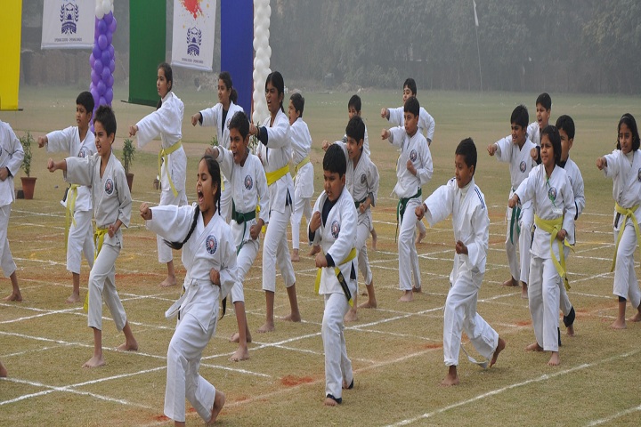 ANWAR PUBLIC SCHOOL-Karate Activity