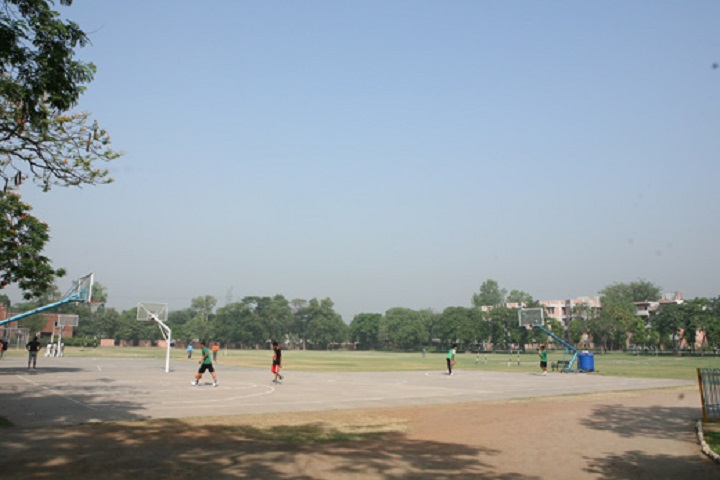 Apeejay School-Sports