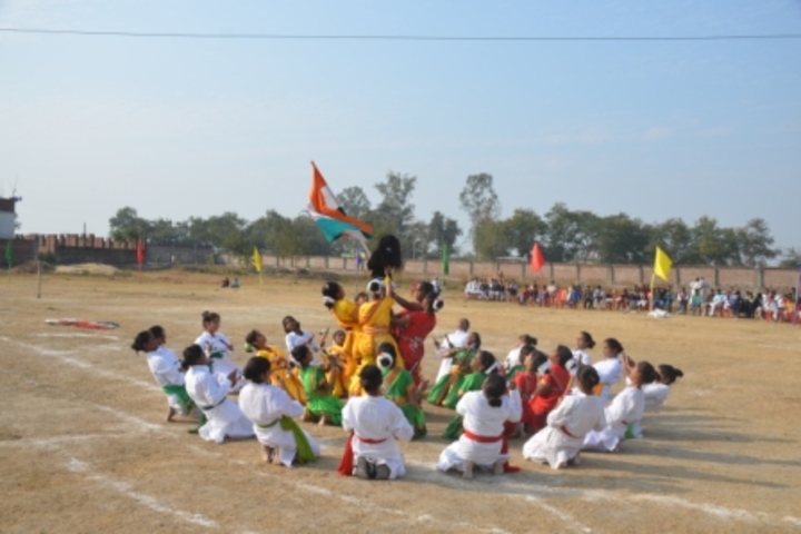 Sadar Alam Memial Secondary School-Activity