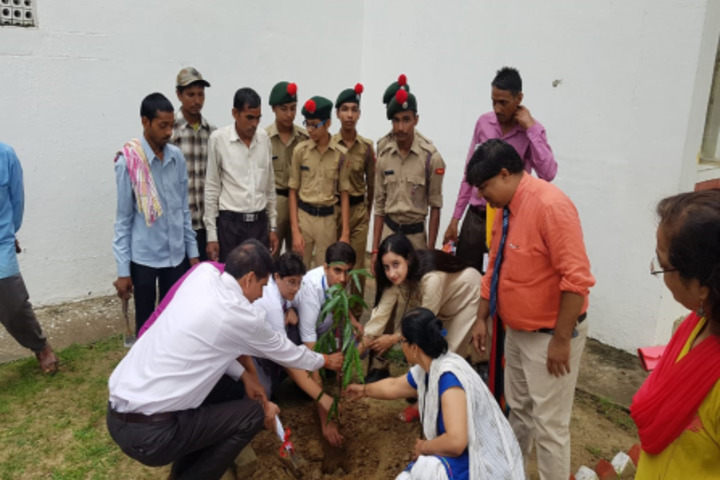 Army Public School-Plantation