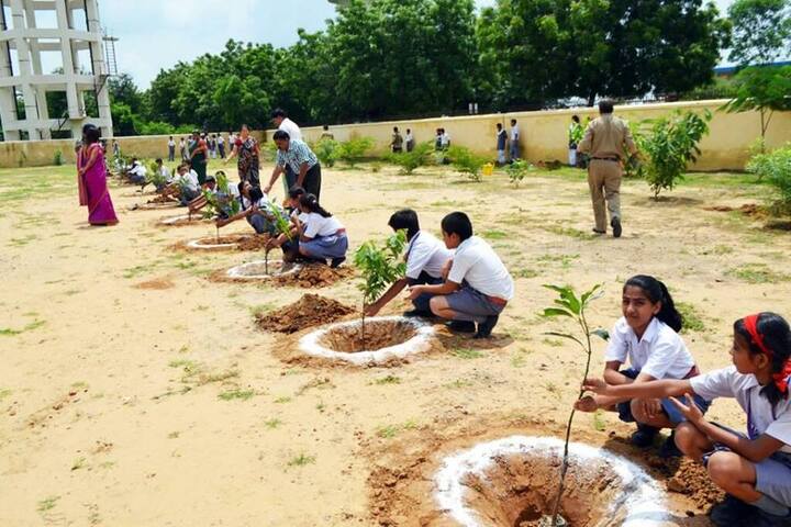 Army Public School-Tree Plantation