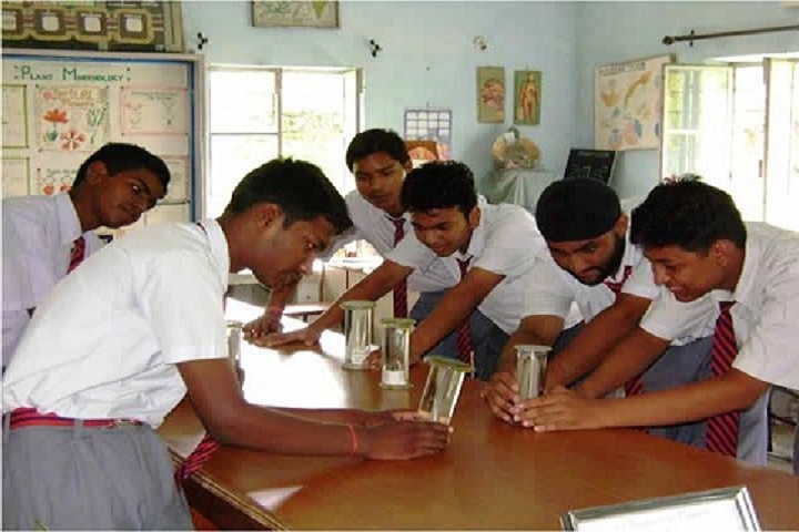 Army Public School-Biology-LAb
