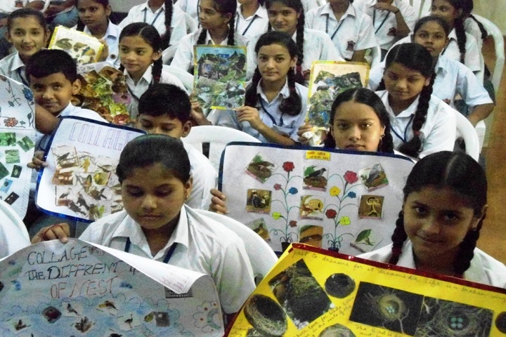 Army Public School-Activity