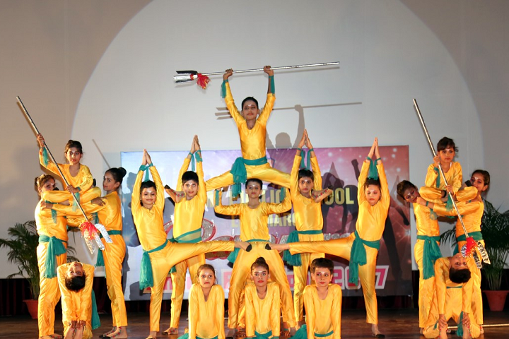 Army Public School-Annual Day