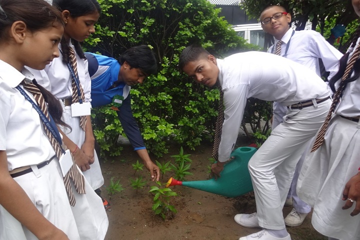 Arvind Academy-Tree Plantation