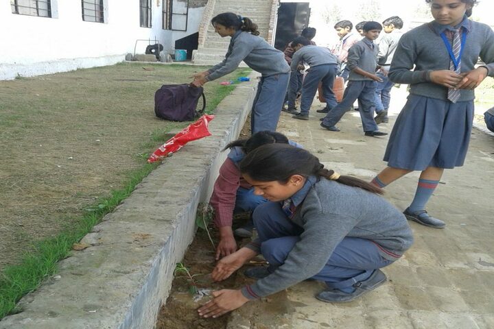Arya Bandhu Public School-Plantation