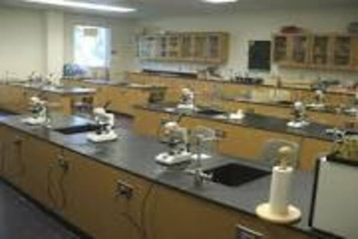 Aryan International Public School-Chemistry Lab
